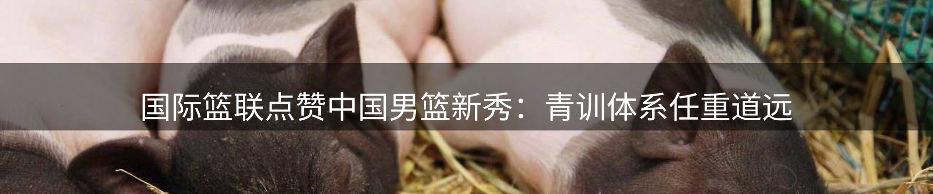 资讯聚合